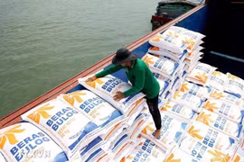 Carga de arroz para la exportación en la provincia de An Giang. (Foto: VNA)