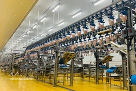 Una moderna línea de producción dentro de una planta procesadora de aves. (Foto: VNA)