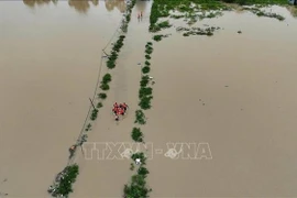 Las fuerzas militares y policiales brindan apoyo a la población afectada por las inundaciones en Phong Chau, Dat Lanh, barrio de Nam Trang. (Foto: VNA)