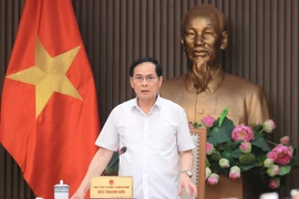 El vicepremier y canciller vietnamita, Bui Thanh Son, habla en el evento (Foto: VNA)