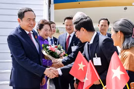 Funcionarios y personal de la Embajada, junto con la comunidad vietnamita en Suiza, reciben al presidente de la Asamblea Nacional, Tran Thanh Man, y a su esposa en el aeropuerto internacional de Ginebra. (Foto: VNA) 