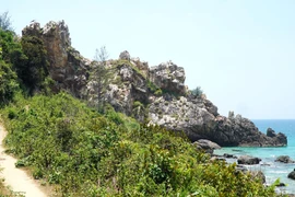 Cabo Vi Rong, belleza salvaje y misteriosa en provincia vietnamita de Binh Dinh