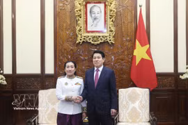 El presidente de Vietnam, Luong Cuong, recibe a la embajadora de Camboya, Touch Pharat. (Foto: VNA) 
