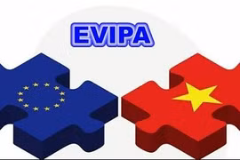 Alemania impulsa la ratificación del EVIPA, tratado clave para inversiones entre Vietnam y la UE