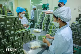 Producción de productos herbales. (Foto ilustrativa: VNA)