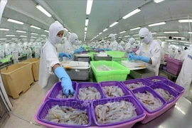 Actualidad semanal: Vietnam, segundo mayor proveedor de productos acuícolas de Brasil