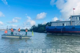 Las autoridades piden a los barcos que atraquen en tierra para refugiarse de la tormenta Fengshe. (Foto: VNA)