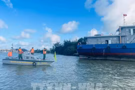Las autoridades piden a los barcos que atraquen en tierra para refugiarse de la tormenta Fengshe. (Foto: VNA)