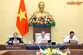 El presidente de la Asamblea Nacional, Tran Thanh Man, en la reunión. (Foto: VNA)