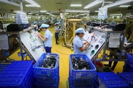 Fabricación de componentes electrónicos. (Foto: VNA)