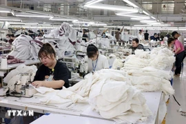 El Banco Mundial incluye a Vietnam entre las 21 economías con un desempeño sobresaliente en 2025. (Foto ilustrada: VNA) 