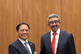 El viceprimer ministro vietnamita Bui Thanh Son se reúne con el vicepremier y ministro de Relaciones Exteriores de Emiratos Árabes Unidos (EAU), Sheikh Abdullah bin Zayed Al Nahyan. (Foto: VNA)