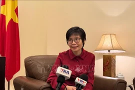 La embajadora Ton Thi Ngoc Huong, jefa de la delegación permanente de Vietnam ante la ASEAN (Foto: VNA)