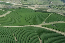 Desarrollo de las economía verde y circular 
