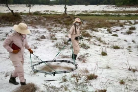 Actividades de desminado en la provincia de Quang Tri. (Foto: VNA)