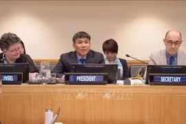 El vicecanciller Pham Minh Vu preside la reunión. (Foto: VNA)