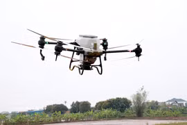 Cooperativa Juvenil Nam Dai Duong, en la comuna de Nghia Hung, provincia de Ninh Binh, utiliza drones para la siembra de arroz. (Foto ilustrativa: VNA)
