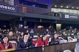 Representantes de Vietnam en la reunión. (Foto: VNA)