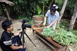 Crean en provincia vietnamita aldea de contenidos digitales vinculada al desarrollo turístico