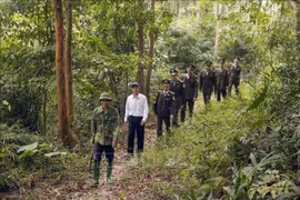 Los guardabosques provinciales se coordinan con los guardabosques locales y la gente del distrito de Lap Thach para patrullar, controlar y proteger los bosques. (Foto: VNA)