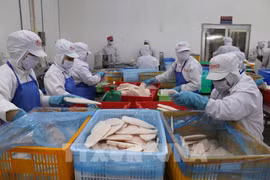 En la fábrica de procesamiento de pescado de la empresa GODACO. Foto: VNA 