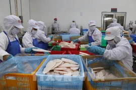 En la fábrica de procesamiento de pescado de la empresa GODACO. Foto: VNA 