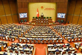 Durante la novena reunión extraordinaria de la Asamblea Nacional de Vietnam la XV legislatura (Fuente: VNA)