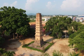  La belleza arquitectónica de la Torre Binh Son en Vinh Phuc