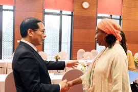 l viceprimer ministro y canciller de Vietnam, Bui Thanh Son, recibe a la subdirectora general de la Organización de las Naciones Unidas para el Desarrollo Industrial (ONUDI), Fatou Haidara. (Foto: VNA)