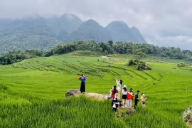 La zona turística comunitaria de Pu Luong (Thanh Hoa) atrae a turistas nacionales e internacionales. (Foto: VNA)