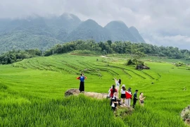 La zona turística comunitaria de Pu Luong (Thanh Hoa) atrae a turistas nacionales e internacionales. (Foto: VNA)