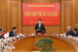 El presidente Luong Cuong dirige la tercera reunión del Comité Directivo Central para la Reforma Judicial. (Foto: VNA)