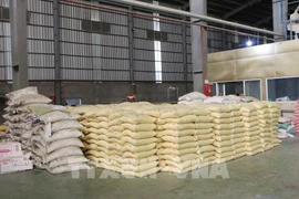 La ciudad de Can Tho cuenta con unas 390.000 hectáreas de producción arrocera, con una producción de unos 3 millones de toneladas. (Foto: VNA)