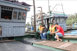 Misión de la CE evaluará esfuerzos de Vietnam contra la pesca ilegal en marzo