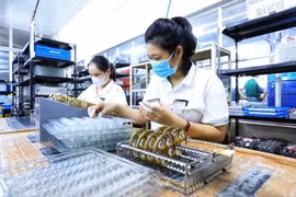 En los cuatro primeros meses de 2026, el Índice de Producción Industrial (IIP) de Vietnam registró un crecimiento estimado del 9,2% interanual, por encima del 8,6% alcanzado en el mismo periodo de 2025. (Foto: Vietnam+) 