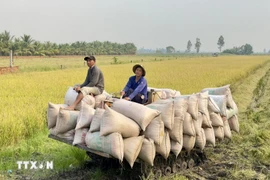 Vietnam está listo para una etapa de desarrollo extraordinario en la agricultura