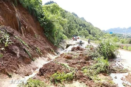 Las fuertes lluvias provocan deslizamientos de tierra, causando problemas de seguridad vial en la Carretera Nacional 4D, el tramo que limita con la ciudad de Lai Chau y el distrito de Phong Tho. (Foto: VNA)