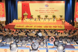 Panorama del evento (Foto: VNA)