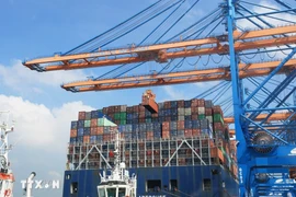 Descarga de contenedores en barcos en el Puerto Internacional Gemalink, ciudad de Phu My, provincia de Ba Ria-Vung Tau. (Foto: Hong Dat/VNA)