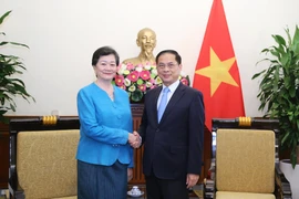El viceprimer ministro y canciller de Vietnam, Bui Thanh Son, recibe a Chea Kimtha, embajadora de Camboya en el país. (Foto: VNA)