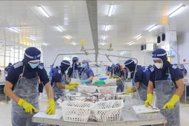 Los trabajadores de la compañía de importación y exportación de mariscos Cuu Long An Giang (parque industrial My Quy, ciudad de Long Xuyen) regresan a trabajar con normalidad después del feriado del Año Nuevo Lunar de 2025. (Foto: VNA)