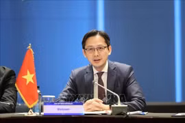 el embajador Do Hung Viet, representante permanente de Vietnam ante la ONU. (Foto: VNA)