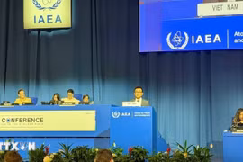 El embajador Vu Le Thai Hoang, representante permanente de Vietnam ante la ONU y las organizaciones internacionales en Viena, habla en la cita. (Foto: VNA)