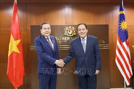 El presidente de la Asamblea Nacional (Parlamento) de Vietnam, Tran Thanh Man, y el presidente del Senado de Malasia, Dato’ Awang Bemee Awang Ali Basah. (Foto: VNA)