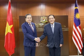 El presidente de la Asamblea Nacional (Parlamento) de Vietnam, Tran Thanh Man, y el presidente del Senado de Malasia, Dato’ Awang Bemee Awang Ali Basah. (Foto: VNA)