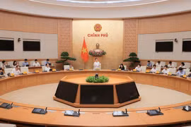 El viceprimer ministro de Vietnam Ho Duc Phoc habla en la reunión. (Foto: VNA)