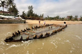 Tifón deja al descubierto un barco de hace varios siglos en playa de Hoi An. (Foto: VNA)