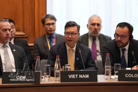 El embajador de Vietnam en Francia, Trinh Duc Hai, pronuncia un discurso en la reunión (Fuente: VNA)