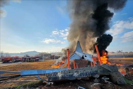 Escenario del accidente del avión de Jeju Air. (Foto: Yonhap/VNA)