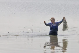 Única y vibrante fiesta de la temporada de crecidas en provincia de An Giang